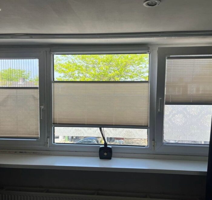 WhatsApp Image 2025-03-27 at 12.04.51 (4)