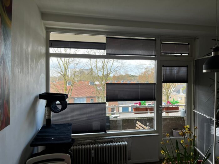 WhatsApp Image 2025-03-27 at 12.06.28 (5)