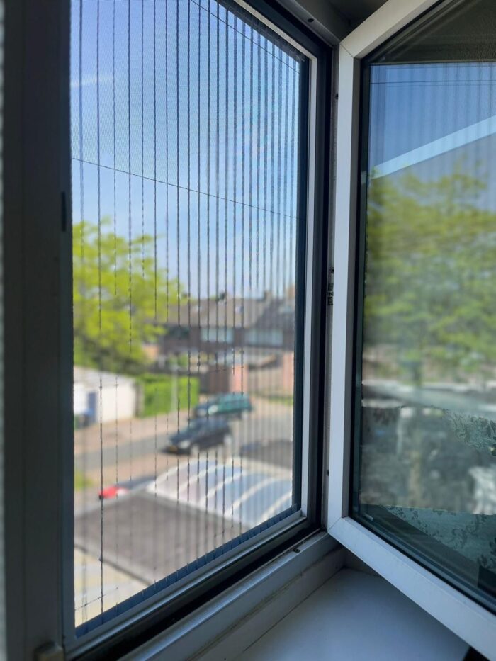 WhatsApp Image 2025-03-27 at 12.07.46 (1)