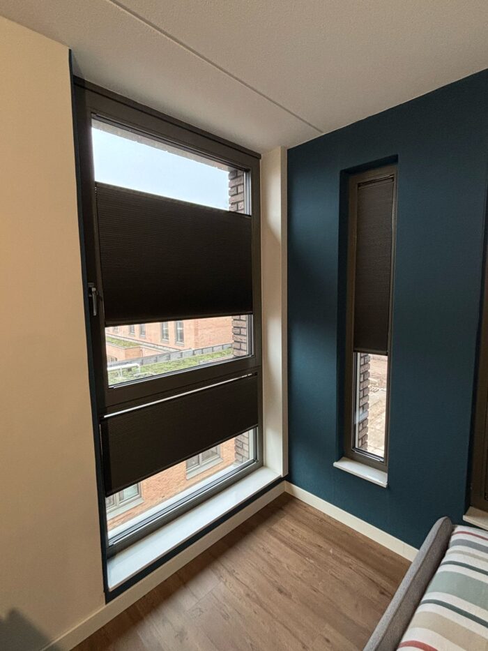 WhatsApp Image 2025-03-27 at 12.09.50