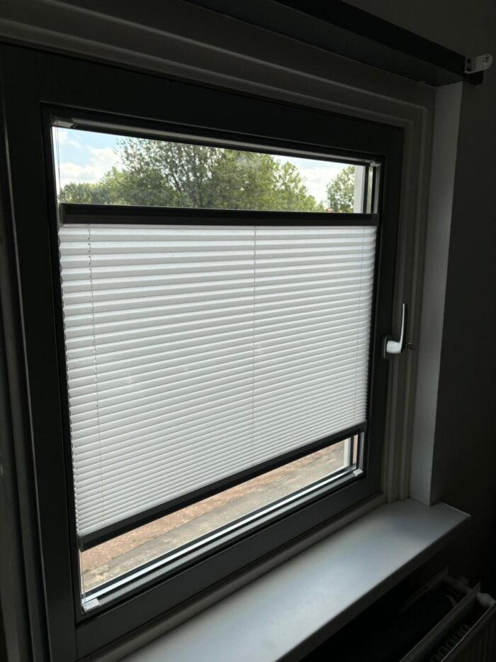 WhatsApp Image 2025-03-27 at 12.09.53 (2)